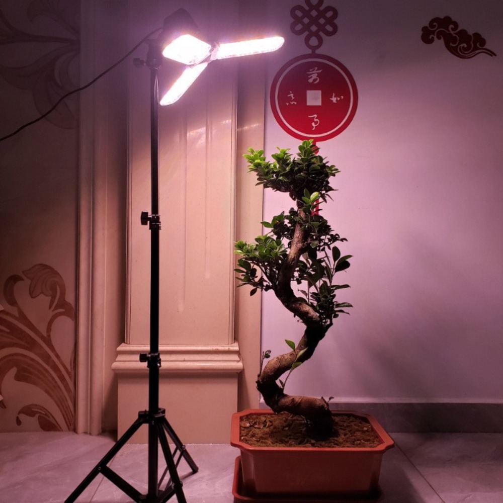Light Bulb Stand 2M, E27 AC So - Photography Lighting With Umbrella 评论和价格